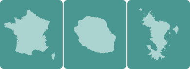 Group 395